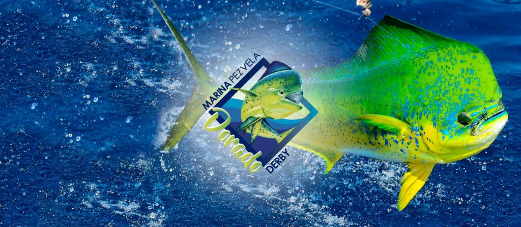 slide dorado derby.jpg