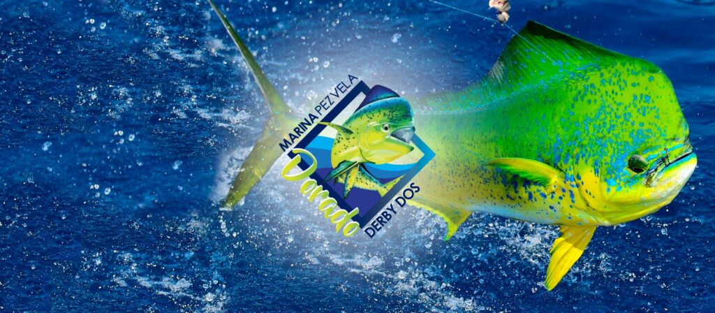 slide dorado derby dos.jpg