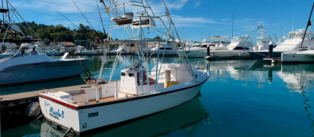 marlin b