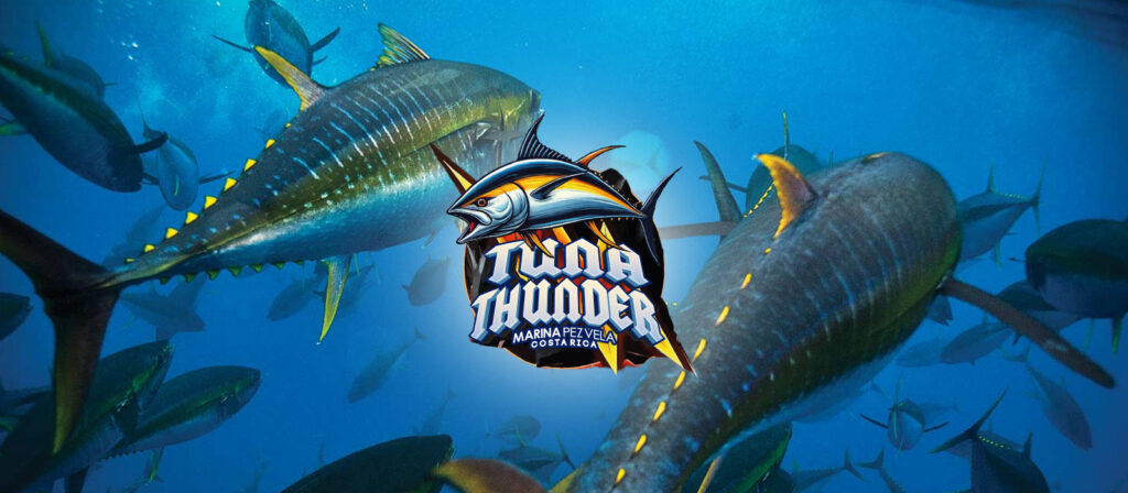 slide tuna thunder
